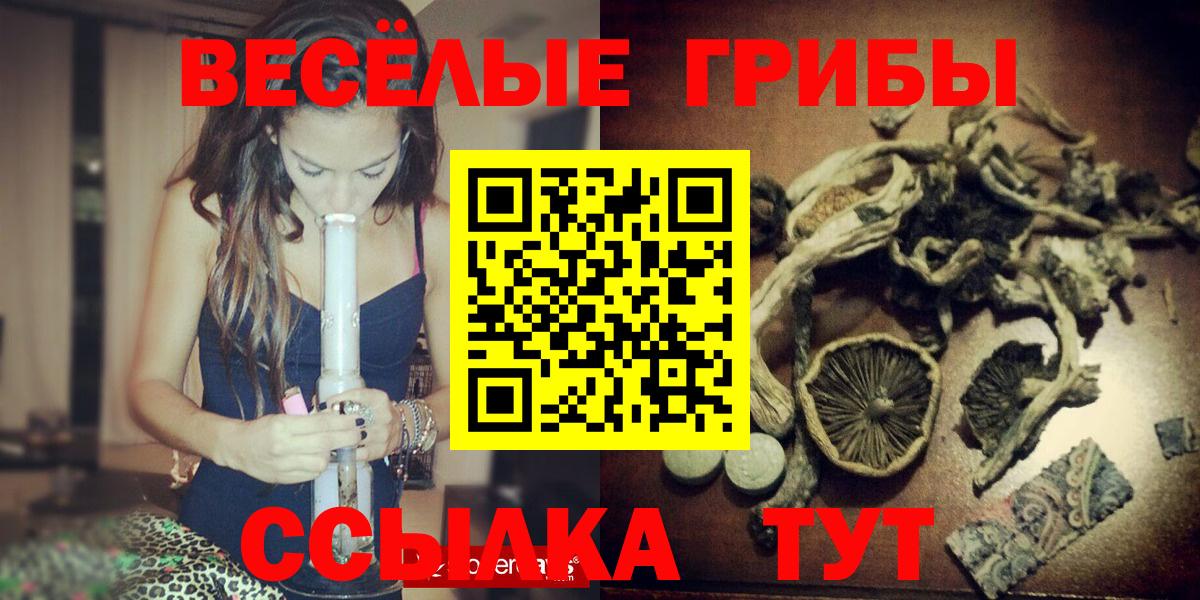 Псилоцибиновые грибы Psilocybe  Вход с VPN  Мелеуз 